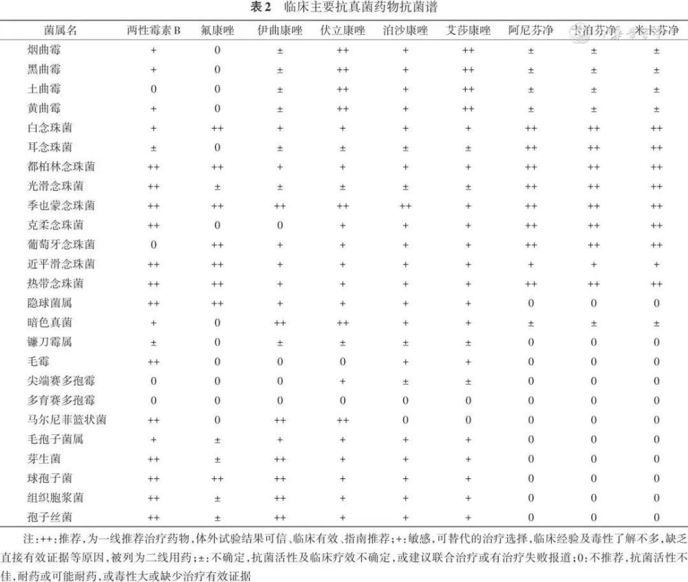 两性霉素b去氧胆酸盐图片