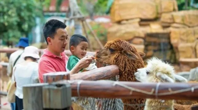 新闻旅游热点新闻_2020旅游新闻热点事件素材_旅游热点新闻