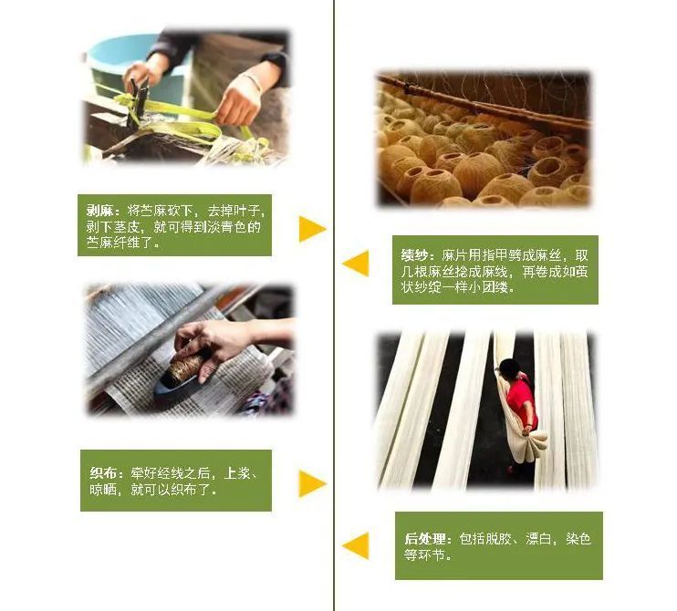 手工夏布的制作过程大概分为剥麻,绩纱,织布和后处理四大步骤.