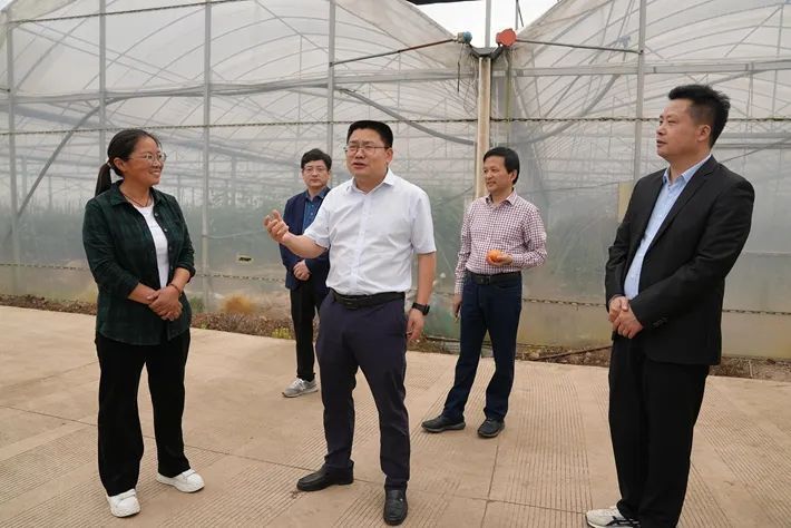 5月3日上午,县委副书记,县长廖志远深入枞阳镇,汤沟镇,横埠镇调研农业