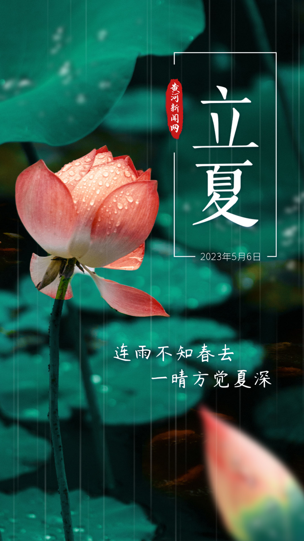 今日立夏丨连雨不知春去 一晴方觉夏深