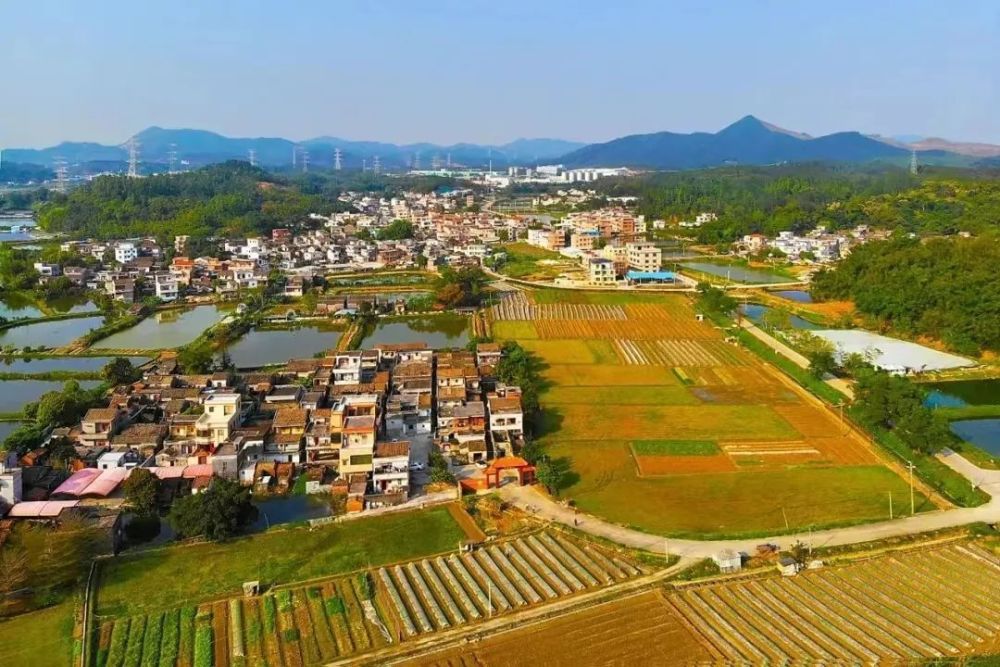 百千萬工程丨鶴山工業城共和鎮工農文旅興產業優勢互補促發展