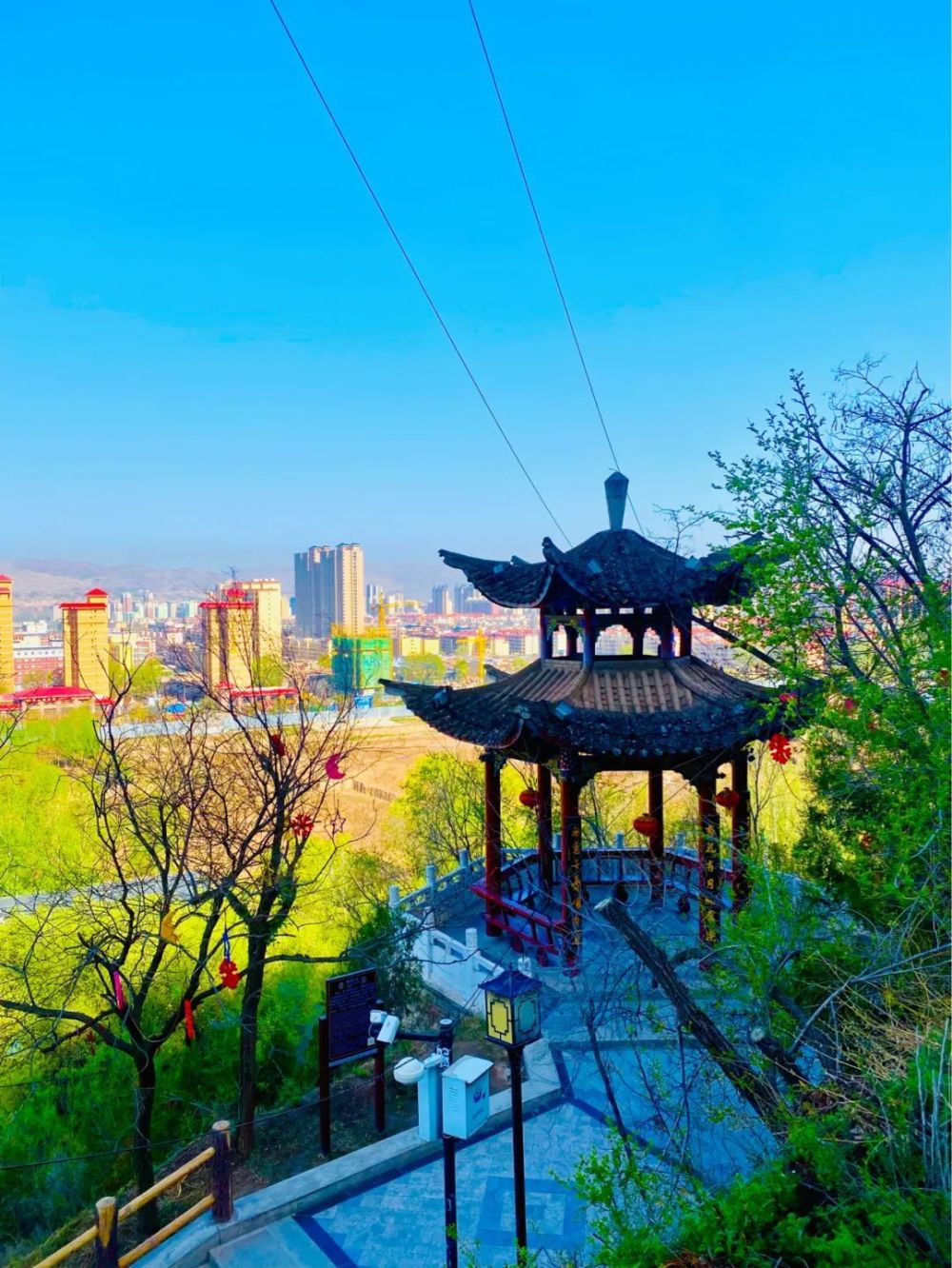 有一种春天叫临洮