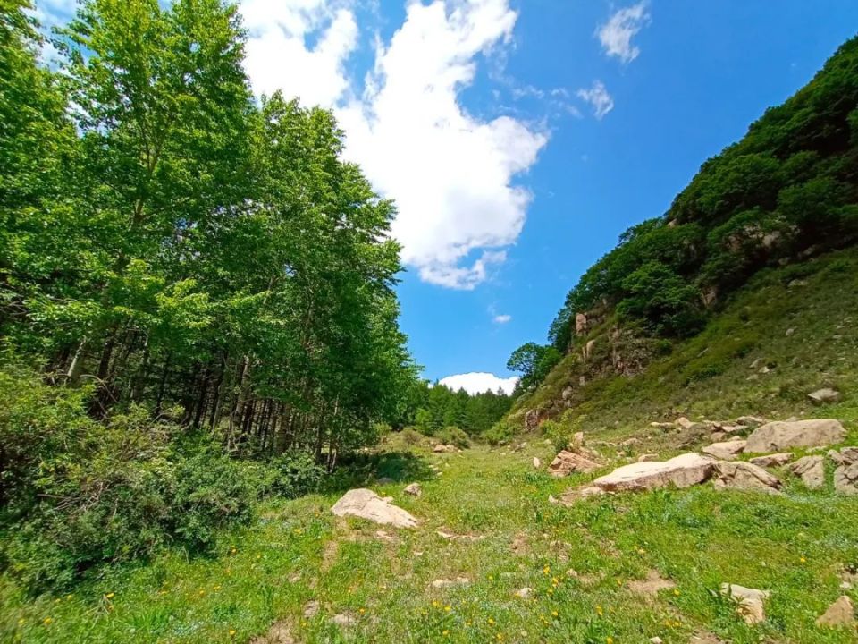 【遇见61灵寿】驼沟古村落遗址带