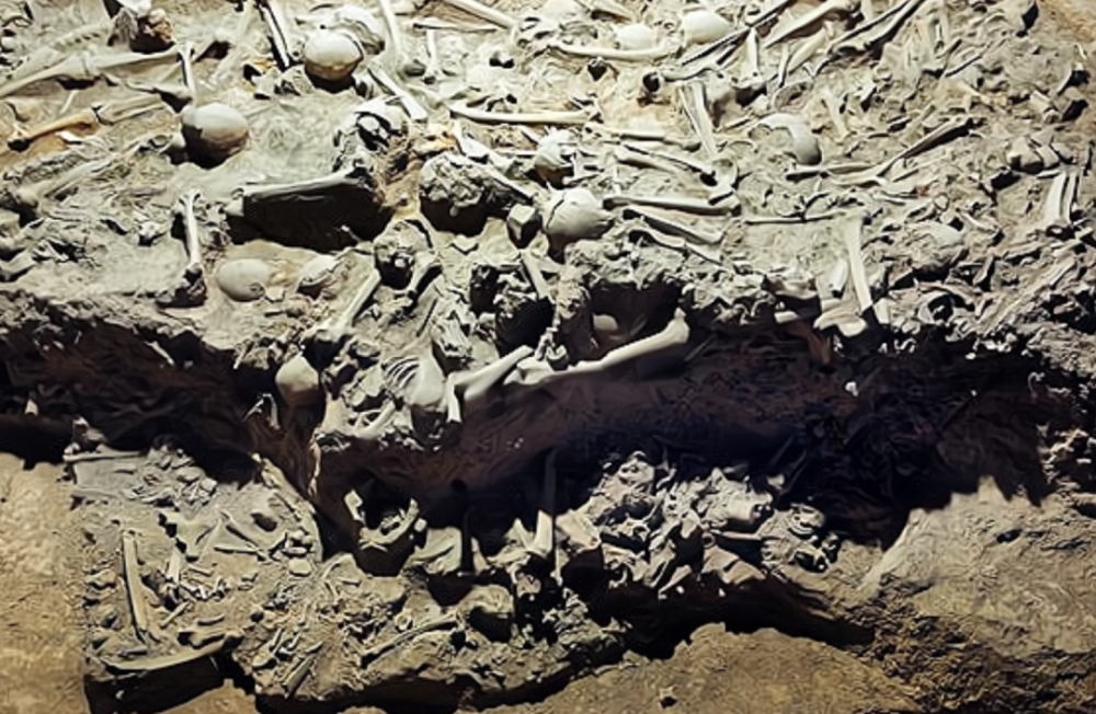 大量俄军曝尸荒野王师为啥不带战友遗体走循迹晓讲