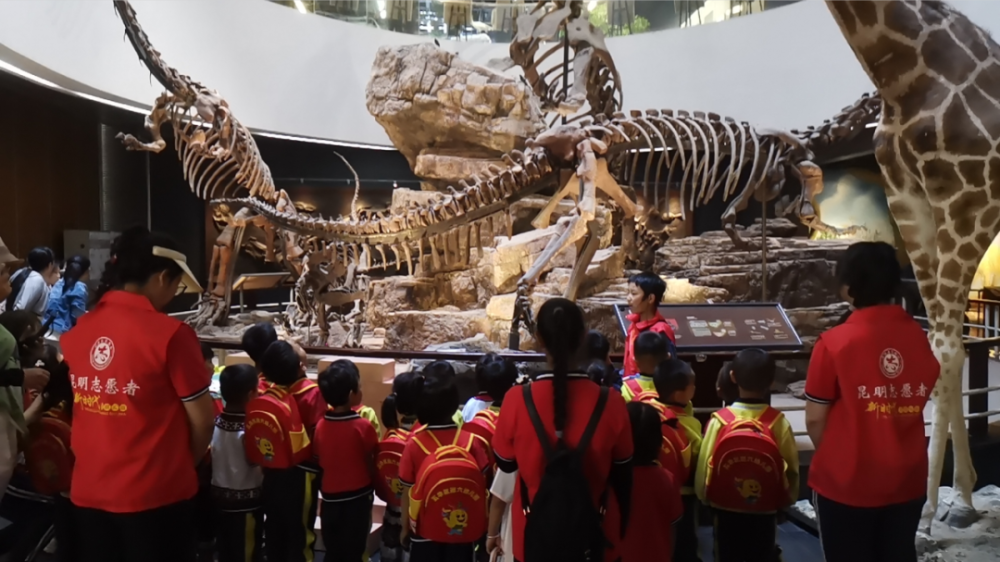 研學活動現場,孩子們在昆明動物博物館小講解員和研學導師的帶領下