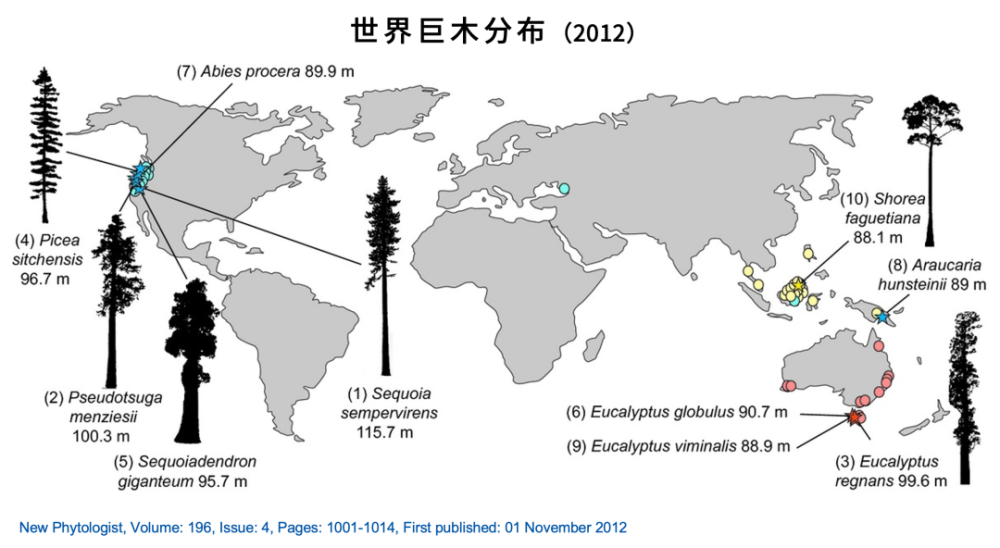 世界上最大的树（世界最老的树15亿年） 第19张