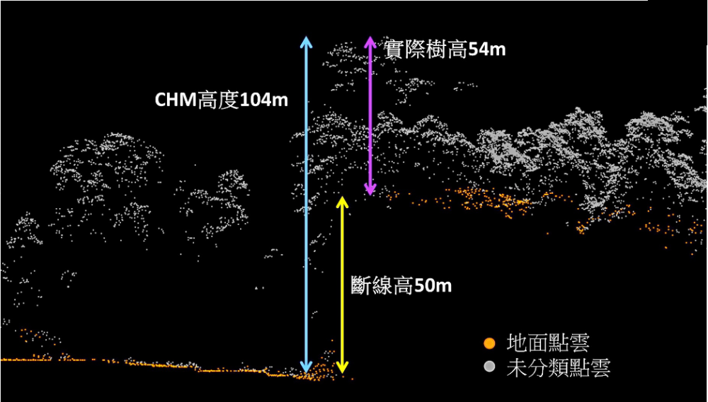 世界上最大的树（世界最老的树15亿年） 第25张