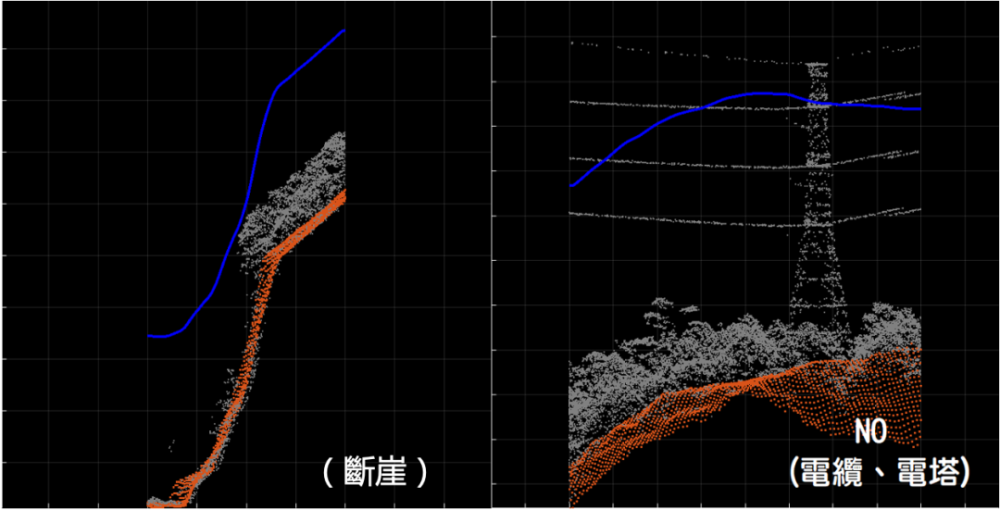 世界上最大的树（世界最老的树15亿年） 第41张