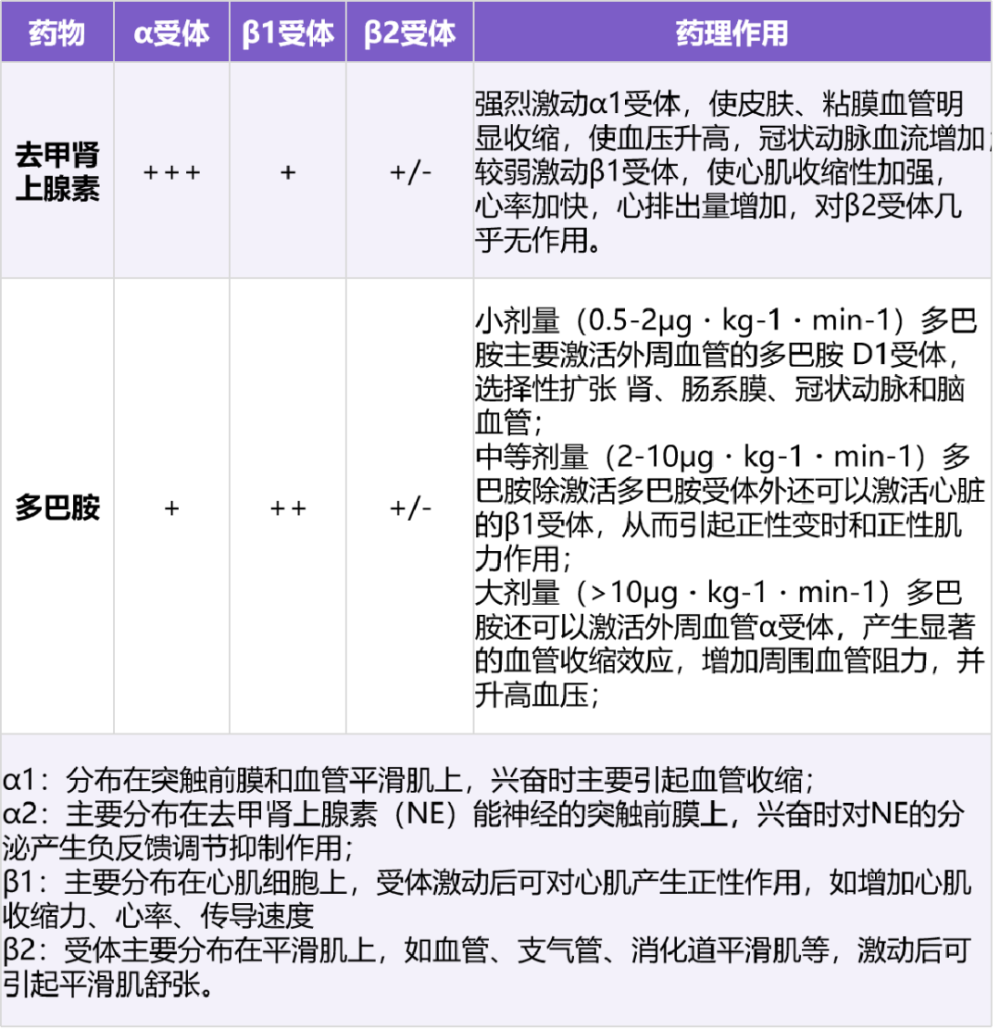 表 1 去甲腎上腺素與多巴胺對不同腎上腺能受體作用比較 [4-6]去甲