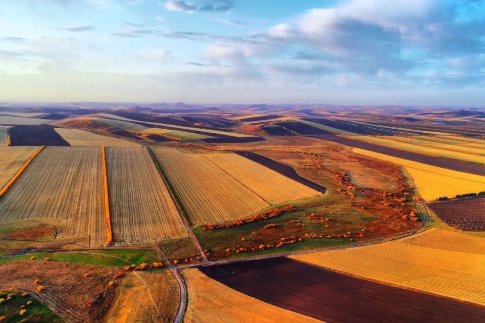 在《漫长的季节》中,看到东北的"底色"