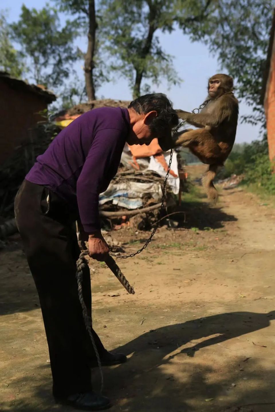 耍猴人,与江湖上最后的传说