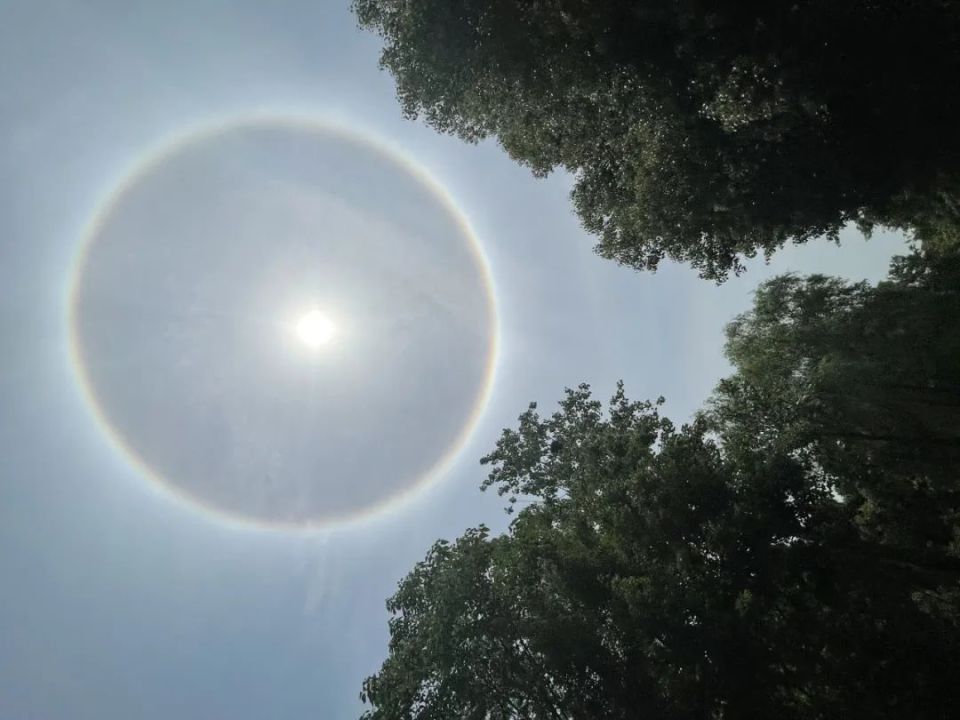 武汉刚刚发生的日晕奇观是这么来的