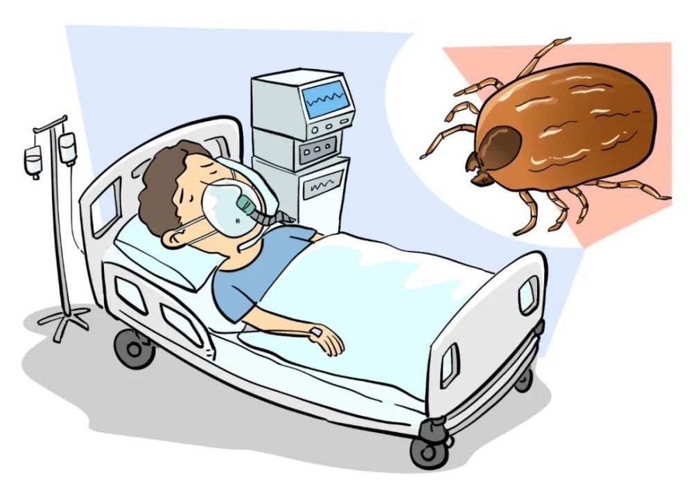 男子高烧39℃不退住进了icu,医生检查发现一个伤口……近期高发!