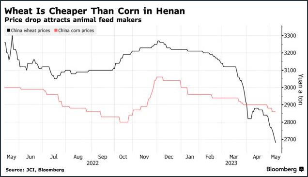 中国买家取消83.2万吨美国玉米订单，“退单潮或将继续”舌尖上的中国2023已更新(今日/知乎)