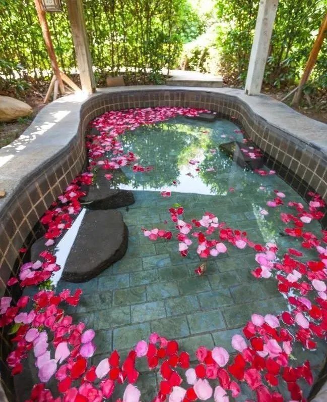 迎初夏来南京汤泉开启美好