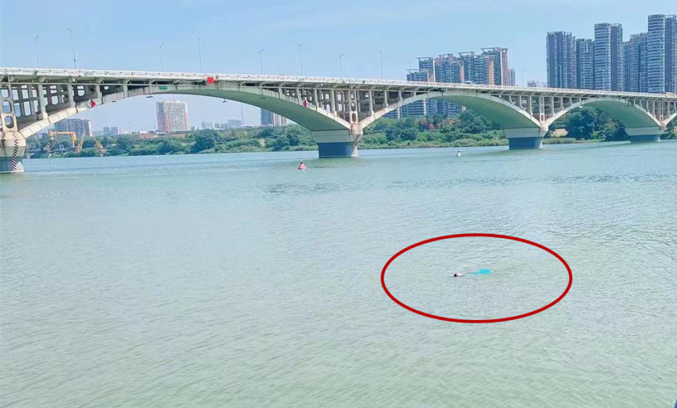 大桥附近,在二桥里凤凰江排水口处,发现距离岸边七八米远处的邕江里有