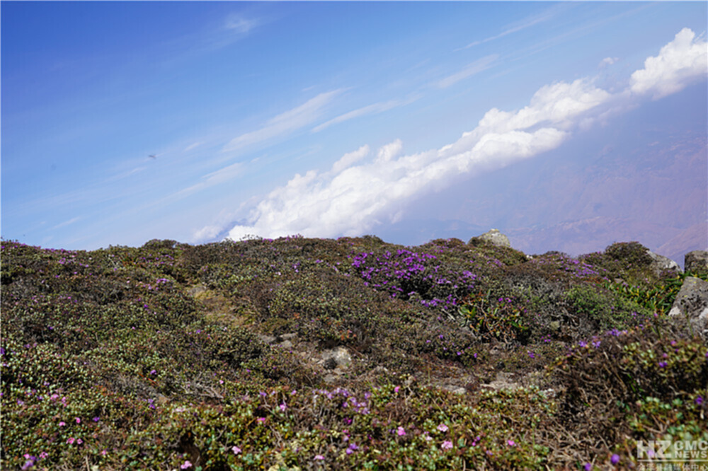 在大牯牛寨峰山腰海拔3230米的一个陡峭的环形山崖上,从山脚有25公里
