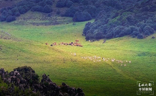 大理宾川乌龙坝九鼎山美极啦