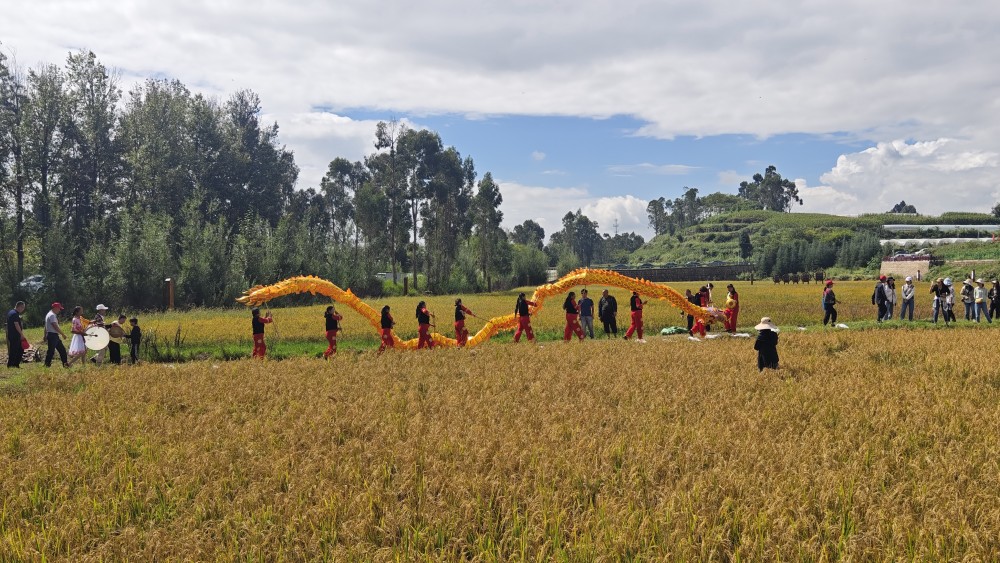 牛栏江镇"庆丰收,促和美"第六个农民丰收节正式开幕_腾讯新闻