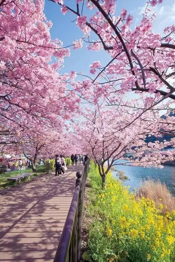 2017全球最安全旅游国家排行榜 有你想去的国