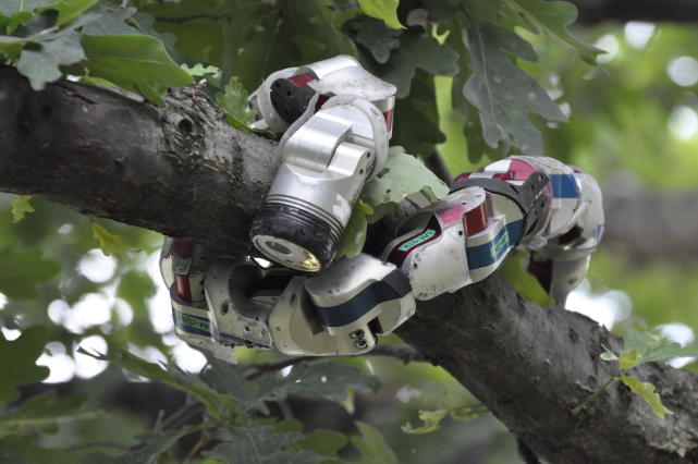 千奇百怪的仿生机器人:灵感来自蟑螂,蛇,鸵鸟等