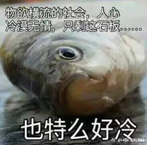 各种表情包也纷纷上阵.额,作者都解释不了那道诡异的光.