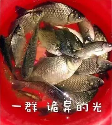 各种表情包也纷纷上阵.额,作者都解释不了那道诡异的光.