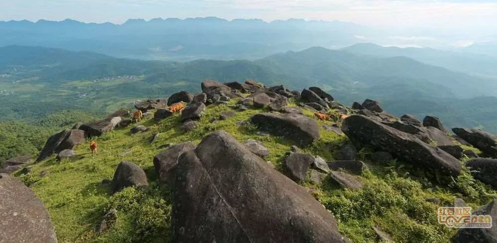 防城区扶隆镇电六村禾雀谷风景区