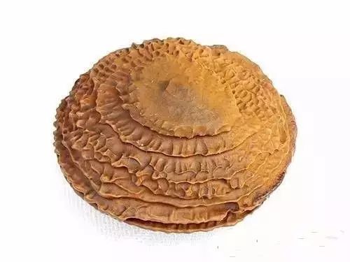 奇石|史上最全的中华奇石