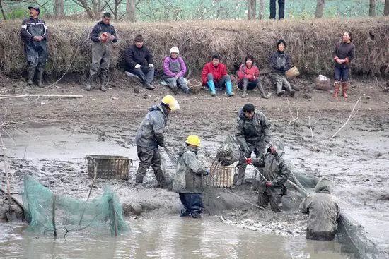 時候以防魚從排水的口子上跳出去這個得需要一人守在旁邊從早上開始給