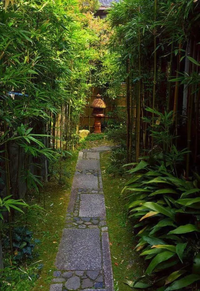 有一方庭院才能回归自然