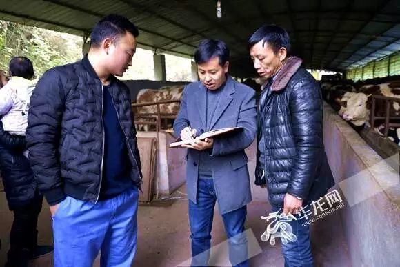 大进镇提升脱贫攻坚质量,夯实乡村振兴根基