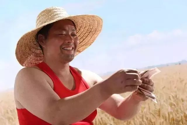 2019年最新政策!重庆农村户口赶紧看,政府主导