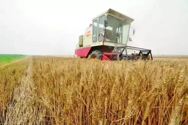 2019年最新政策!重庆农村户口赶紧看,政府主导