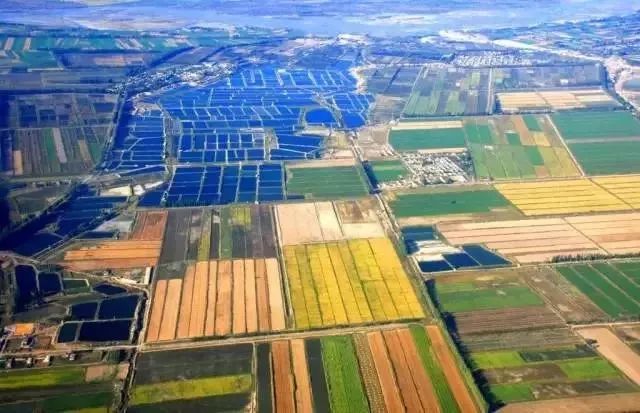 2019年最新政策!重庆农村户口赶紧看,政府主导