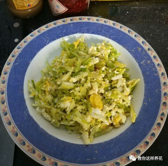 塑料瓶|巧用塑料瓶种大蒜洋葱，1个桶种一大片，吃都吃不完！