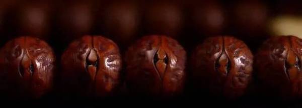 星月菩提|不同材质的藏传老佛珠！看得人口水直流……