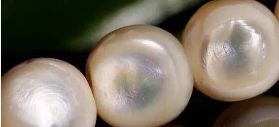 星月菩提|不同材质的藏传老佛珠！看得人口水直流……