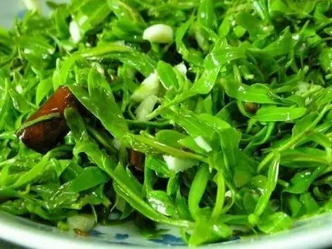 野菜|一种野菜治一种病，今年春天，千万不能再错过这些野菜！