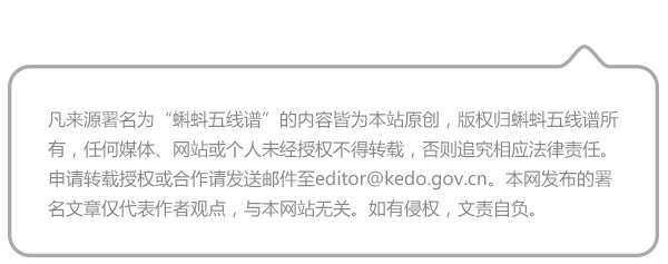 幼仔|环尾狐猴：我到底有多少个“环”，数过没？