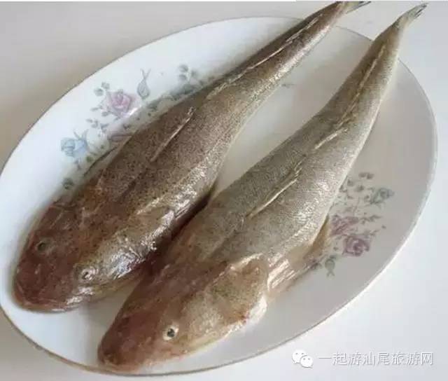 开渔啦这些鱼潮汕人不能不懂