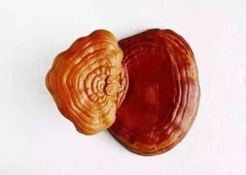 奇石|史上最全的中华奇石