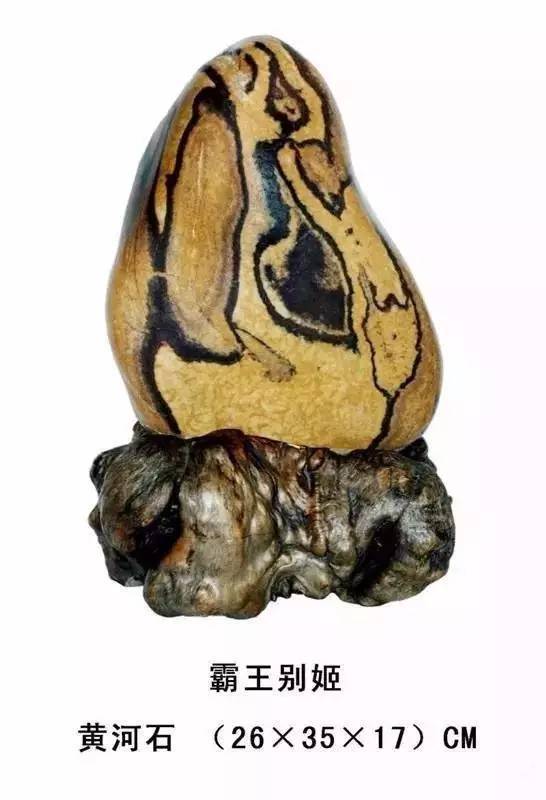 奇石|史上最全的中华奇石