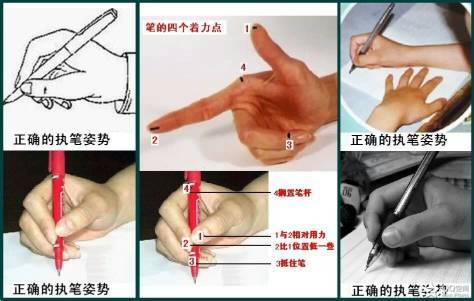 正确的握笔姿势以上八种的错误执笔手势可能导致儿童坐姿有问题,手形