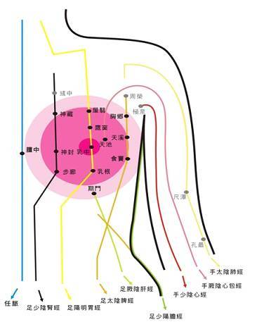 乳房经络图中医认为乳腺健康与经络密切相关,可以说,乳腺增生就是经络