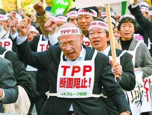 日本农业|日本农业：为什么走在世界农业的前沿？