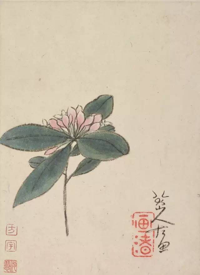 朱耷|八大山人字画全集，大饱眼福！