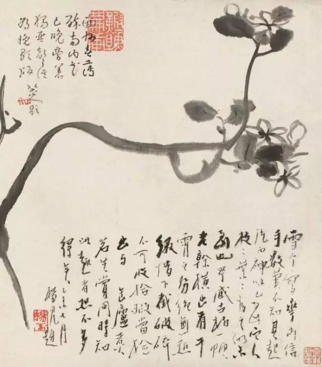 朱耷|八大山人字画全集，大饱眼福！