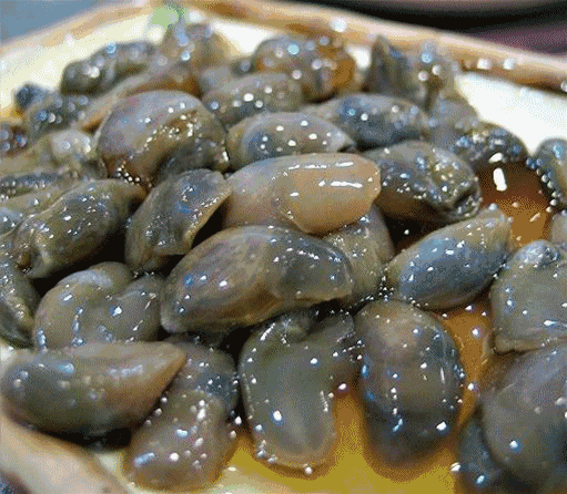 在 河姆渡文化遗址中,出土的不乏精良的 渔猎工具和大量的 鱼骨,贝壳